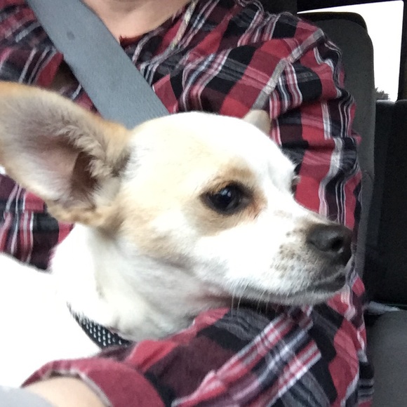 Meet your Posher, Jjennifer - Picture 1 of 1